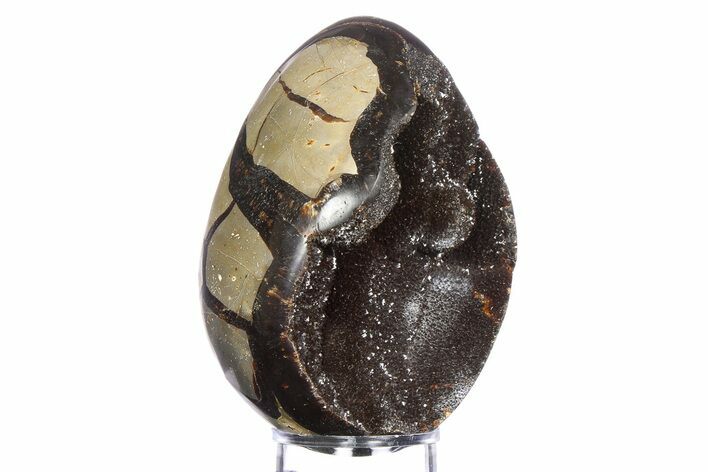 Septarian Dragon Egg Geode - Sparkly Black Crystals #383841